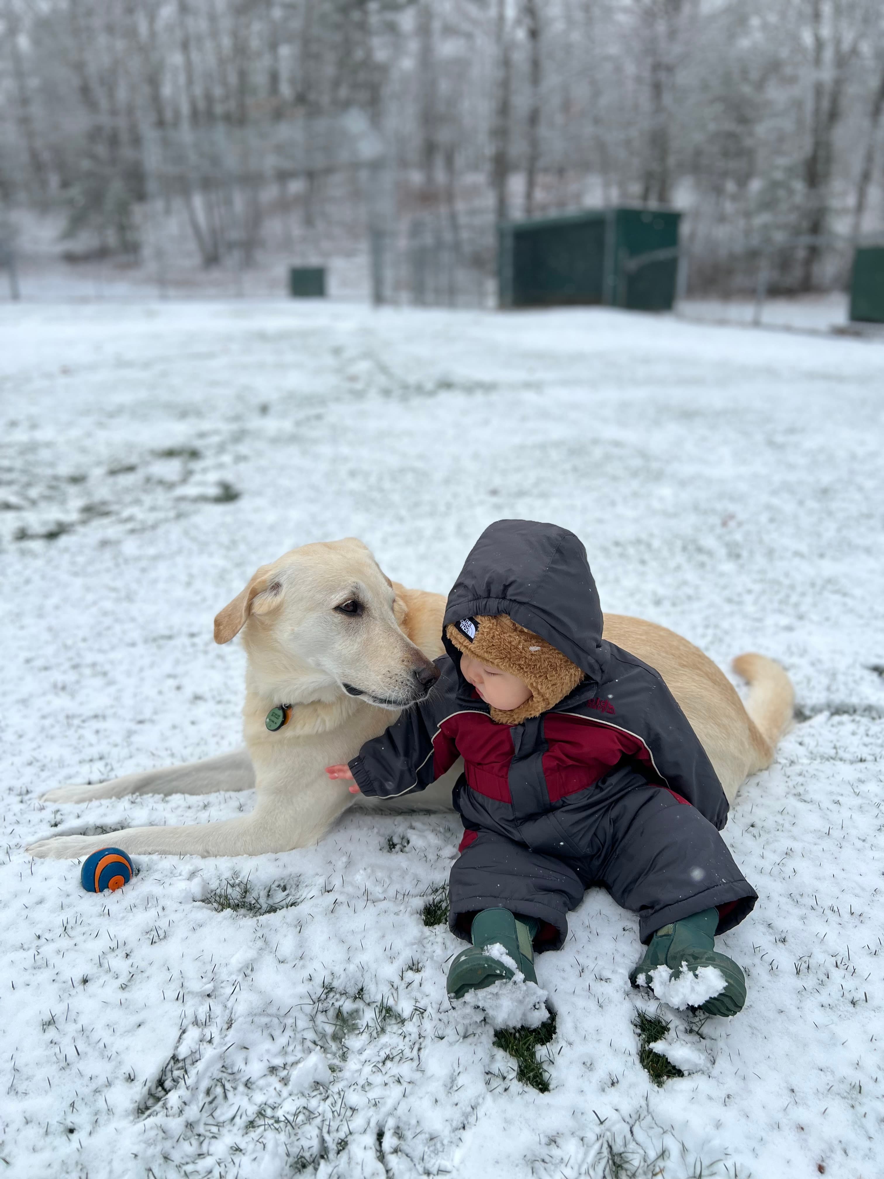 Sonny's first snow day with Meeko